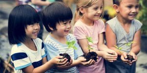 Curso de Educação no Campo com Certificado
