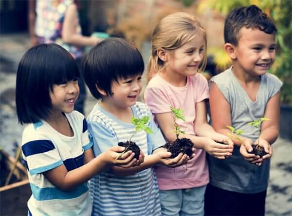 Curso de Educação no Campo com Certificado